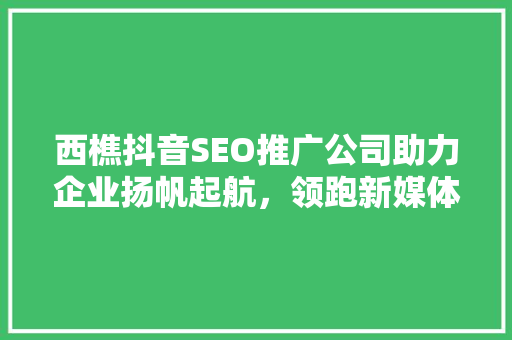 西樵抖音SEO推广公司助力企业扬帆起航，领跑新媒体时代