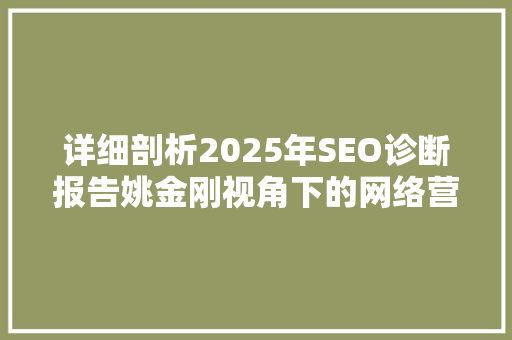 详细剖析2025年SEO诊断报告姚金刚视角下的网络营销步骤优化