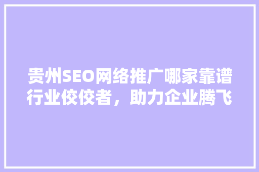 贵州SEO网络推广哪家靠谱行业佼佼者，助力企业腾飞