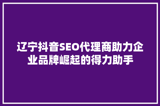 辽宁抖音SEO代理商助力企业品牌崛起的得力助手