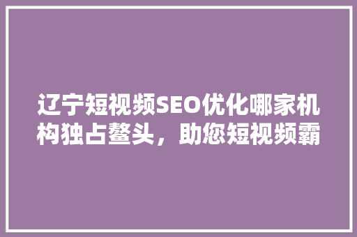 辽宁短视频SEO优化哪家机构独占鳌头，助您短视频霸屏全网