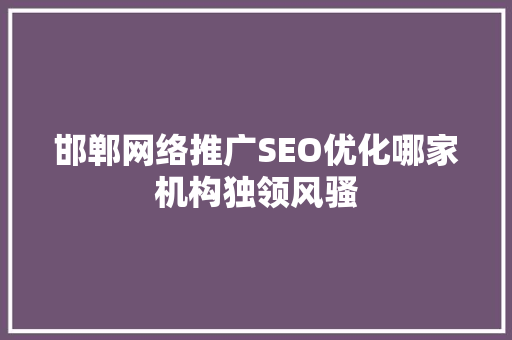 邯郸网络推广SEO优化哪家机构独领风骚