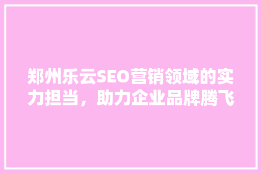 郑州乐云SEO营销领域的实力担当，助力企业品牌腾飞