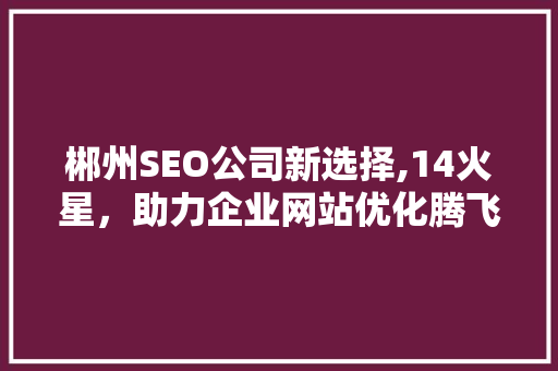 郴州SEO公司新选择,14火星，助力企业网站优化腾飞