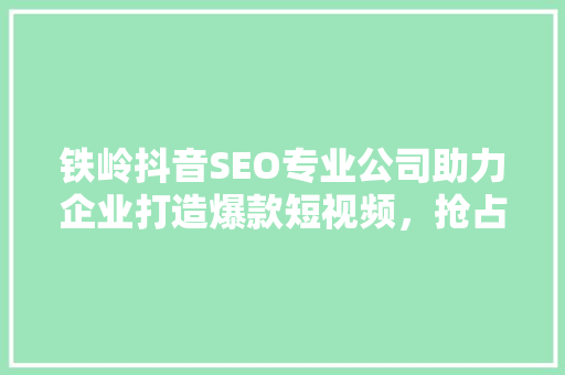铁岭抖音SEO专业公司助力企业打造爆款短视频，抢占市场先机