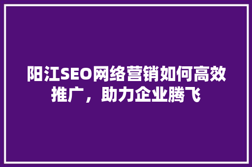 阳江SEO网络营销如何高效推广，助力企业腾飞