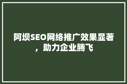 阿坝SEO网络推广效果显著，助力企业腾飞