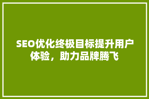 SEO优化终极目标提升用户体验，助力品牌腾飞