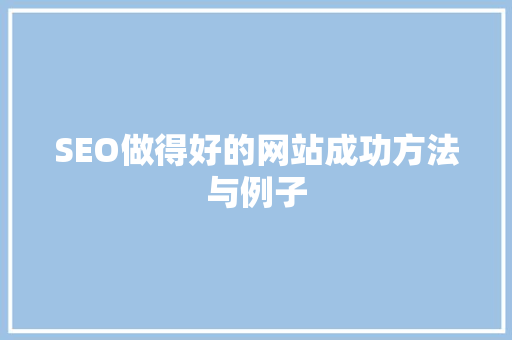 SEO做得好的网站成功方法与例子