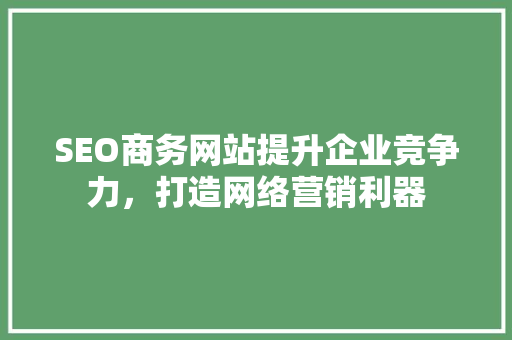 SEO商务网站提升企业竞争力，打造网络营销利器