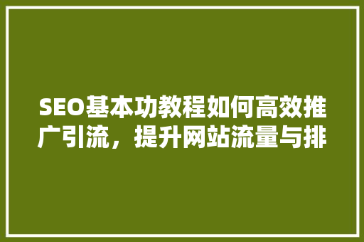 SEO基本功教程如何高效推广引流，提升网站流量与排名
