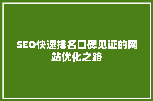 SEO快速排名口碑见证的网站优化之路