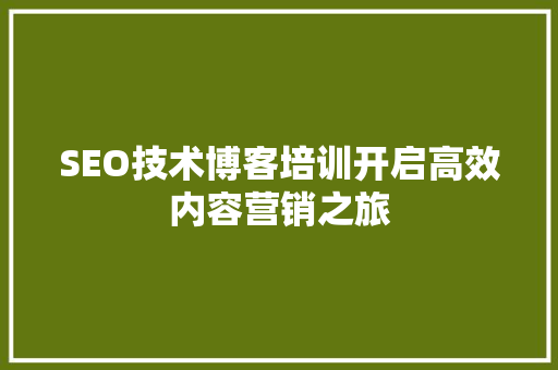 SEO技术博客培训开启高效内容营销之旅