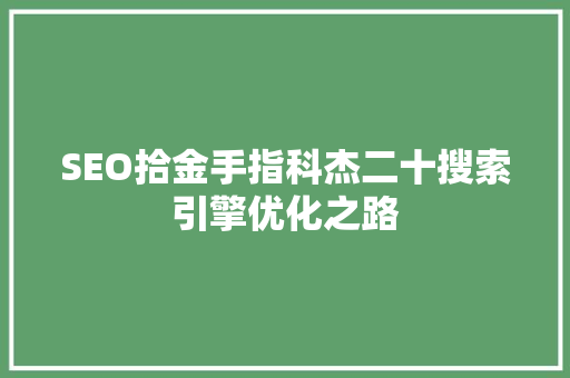 SEO拾金手指科杰二十搜索引擎优化之路
