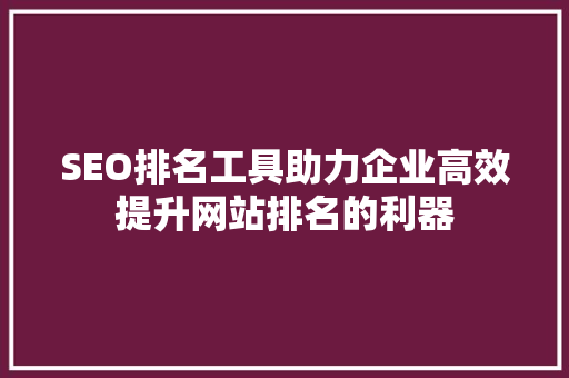 SEO排名工具助力企业高效提升网站排名的利器