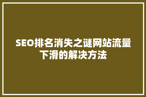 SEO排名消失之谜网站流量下滑的解决方法  第1张