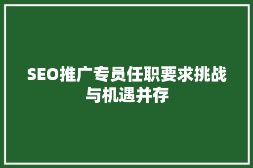 SEO推广专员任职要求挑战与机遇并存