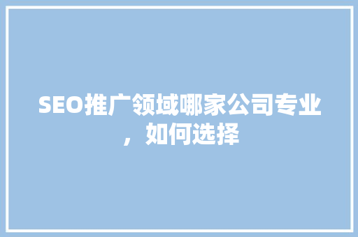 SEO推广领域哪家公司专业，如何选择
