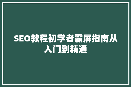 SEO教程初学者霸屏指南从入门到精通