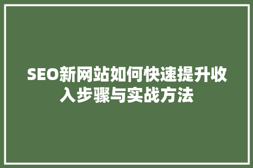 SEO新网站如何快速提升收入步骤与实战方法