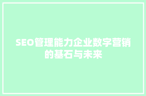 SEO管理能力企业数字营销的基石与未来