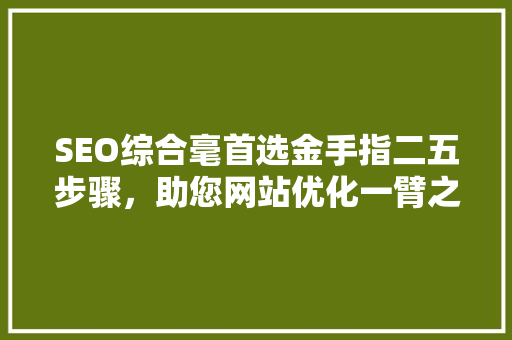 SEO综合毫首选金手指二五步骤，助您网站优化一臂之力