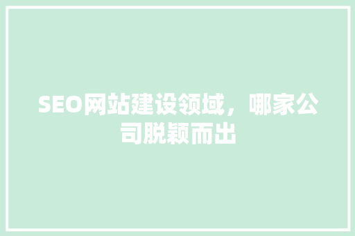 SEO网站建设领域，哪家公司脱颖而出