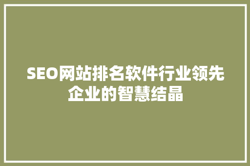 SEO网站排名软件行业领先企业的智慧结晶