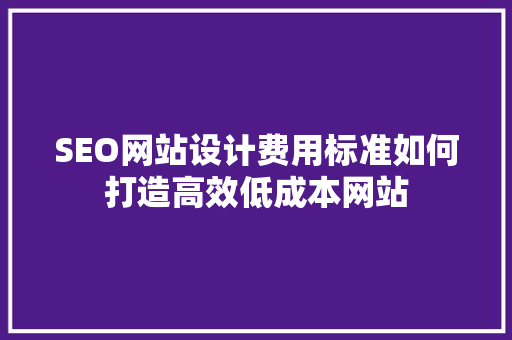 SEO网站设计费用标准如何打造高效低成本网站