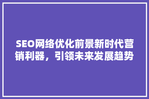 SEO网络优化前景新时代营销利器，引领未来发展趋势