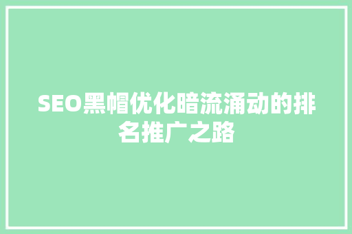 SEO黑帽优化暗流涌动的排名推广之路