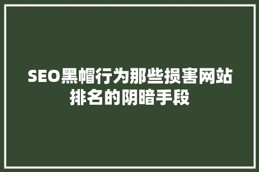 SEO黑帽行为那些损害网站排名的阴暗手段