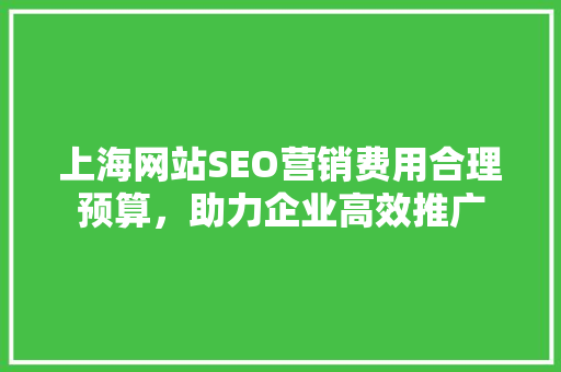 上海网站SEO营销费用合理预算，助力企业高效推广