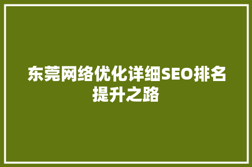 东莞网络优化详细SEO排名提升之路