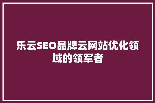 乐云SEO品牌云网站优化领域的领军者