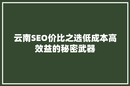 云南SEO价比之选低成本高效益的秘密武器