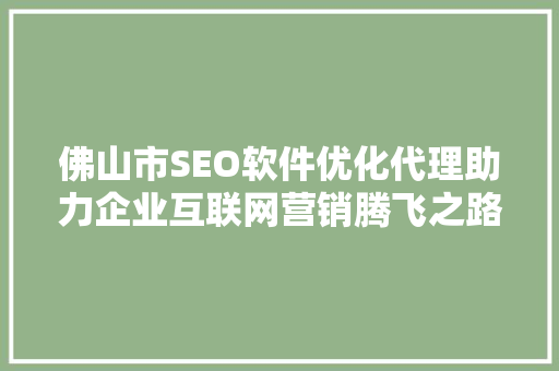 佛山市SEO软件优化代理助力企业互联网营销腾飞之路