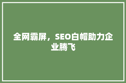 全网霸屏，SEO白帽助力企业腾飞