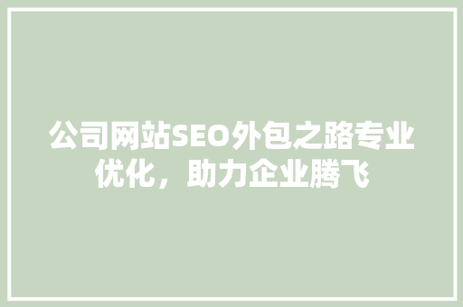 公司网站SEO外包之路专业优化，助力企业腾飞