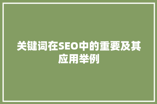 关键词在SEO中的重要及其应用举例