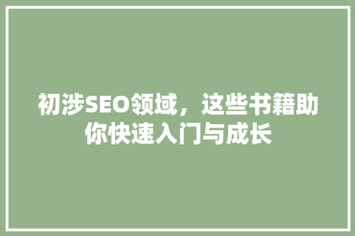 初涉SEO领域，这些书籍助你快速入门与成长  第1张