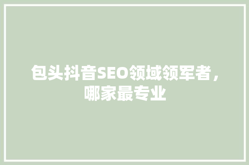 包头抖音SEO领域领军者，哪家最专业