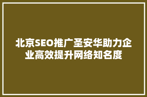 北京SEO推广圣安华助力企业高效提升网络知名度