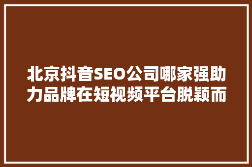 北京抖音SEO公司哪家强助力品牌在短视频平台脱颖而出