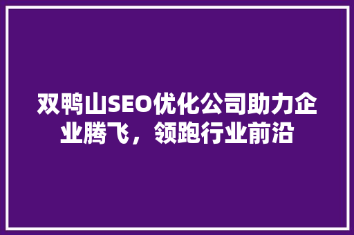 双鸭山SEO优化公司助力企业腾飞，领跑行业前沿