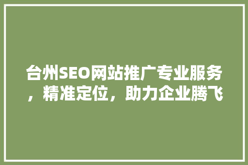 台州SEO网站推广专业服务，精准定位，助力企业腾飞