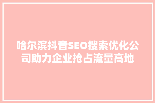 哈尔滨抖音SEO搜索优化公司助力企业抢占流量高地