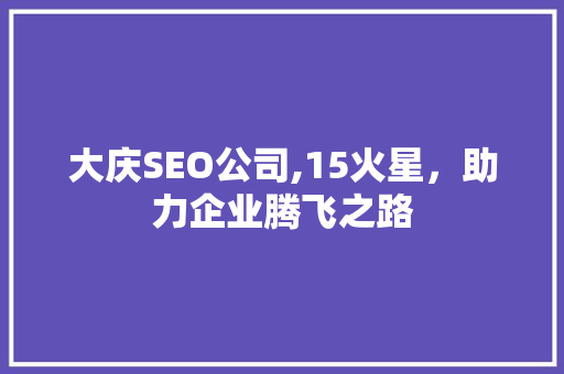 大庆SEO公司,15火星，助力企业腾飞之路
