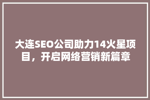 大连SEO公司助力14火星项目，开启网络营销新篇章