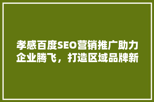 孝感百度SEO营销推广助力企业腾飞，打造区域品牌新高度